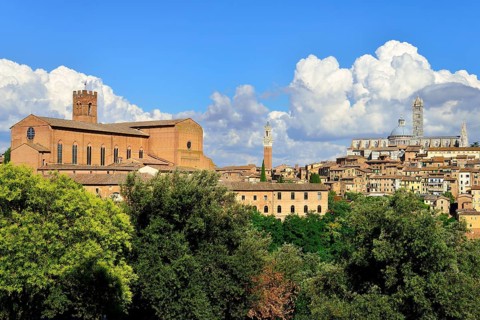 Historic centre with the Basilica of San Domenico and the Duomo of Siena