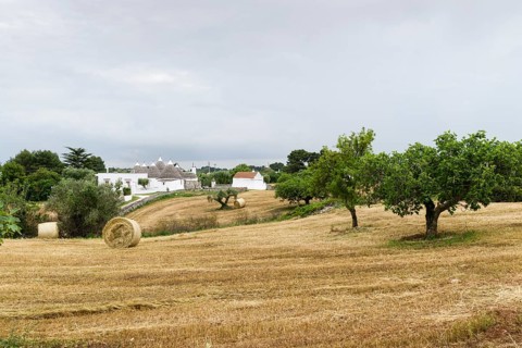 Stubblefield with Trulli buildings at the back