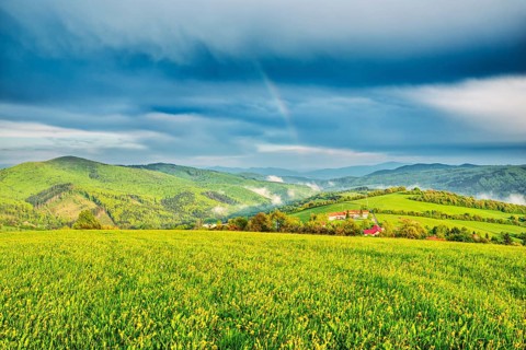 Landscape