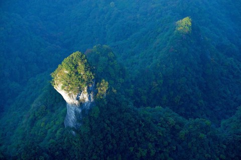 Mushroom-shaped rock surrounded by a forest