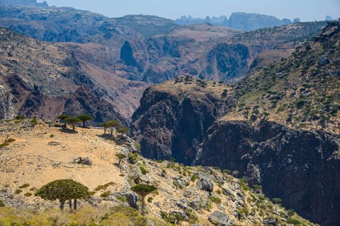 Huge canyon at the Dixsam plateau