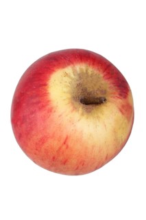 Apple variety Carola