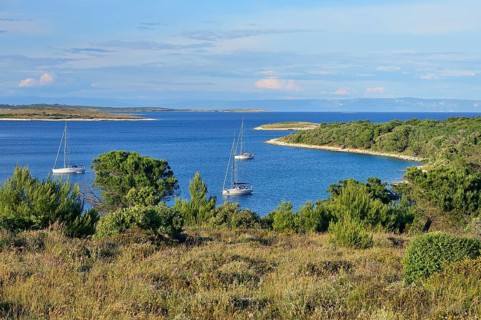 Yachts anchored in a bay