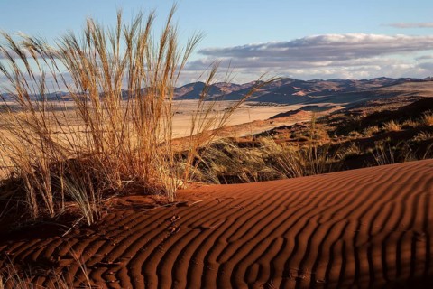 Elim Dune