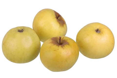 Apple variety Landsberg Rennet