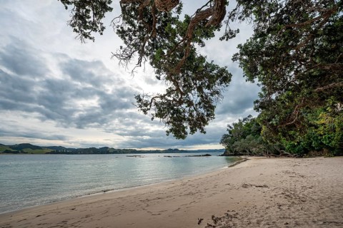 Beach in the bay Whale Bay