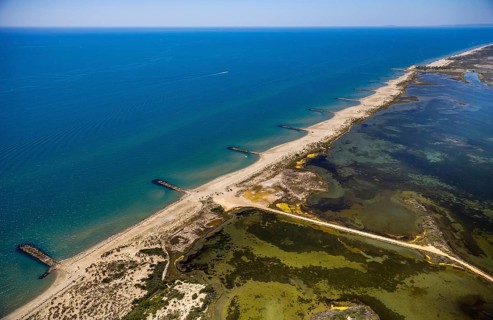 Mediterranean coast