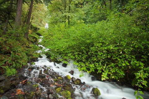 Wahkeena Falls