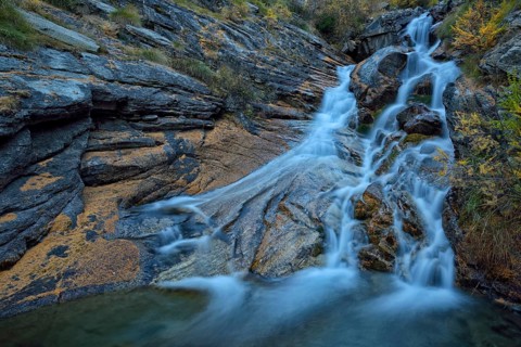 Mountain stream with fallen larch needles on the stones