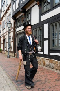 Traveller on the Walz