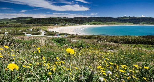 Curio Bay