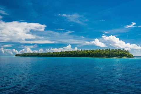 Islet in the Ant Atoll