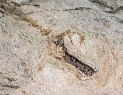 Covered findspot of dinosaur bones