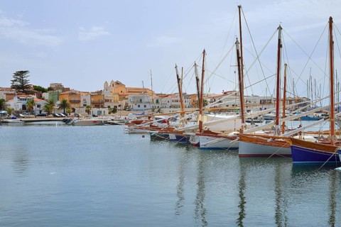 Traditional sailing boats with lateen sail