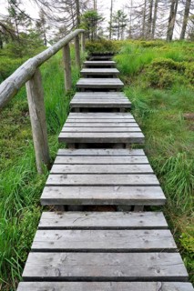 Boardwalk