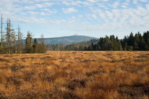 Torfhausmoor in autumn