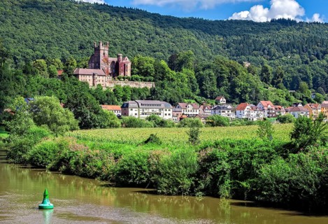 Mittelburg castle