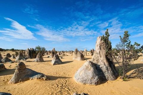The Pinnacles limestone formations