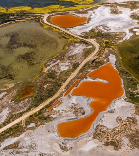 Salt patterns on the surface of salt marshes