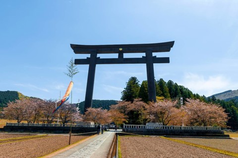 Largest Torii in the world
