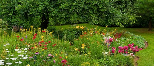 Flower garden