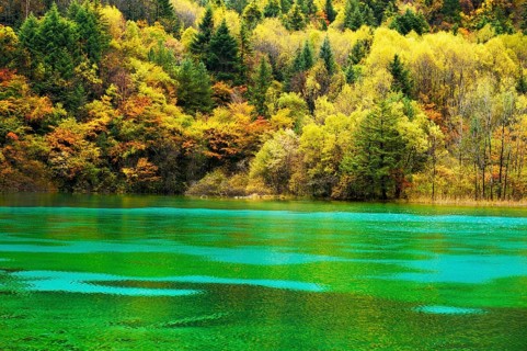 Five Flower Lake in autumnal environment