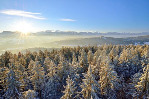 Sunrise over the Bernese Alps