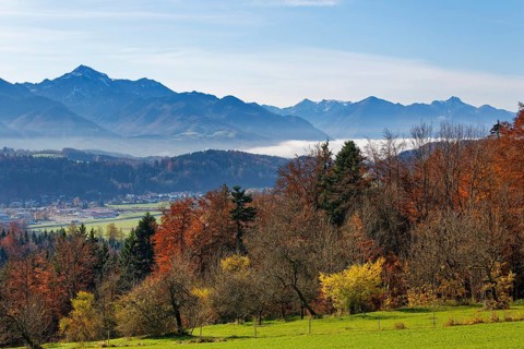 View from Hochberg mountain near Traunstein towards the Bavarian Alps