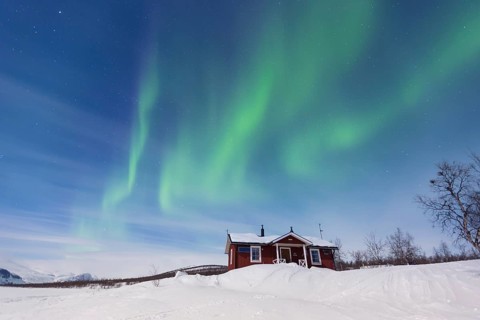 Northern Lights (Aurora borealis) above a Swedish red house in winter
