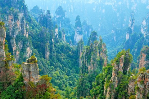 Tianzishan mountain with vertical rock columns of quartz sandstone