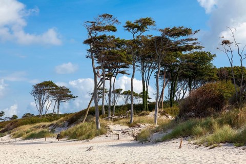 West beach