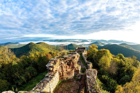 View of the Palatinate Forest from Wegelnburg Castle