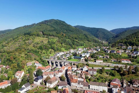 View from the castle on Hornberg and Gutachtal
