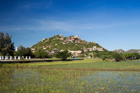 Rice field in the mountainous hinterland of Ninh Thuan
