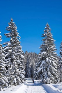 Winter hiking and cross-country ski trail near the Winklmoosalm