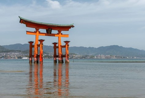 Itsukushima Floating Torii Gate in Water