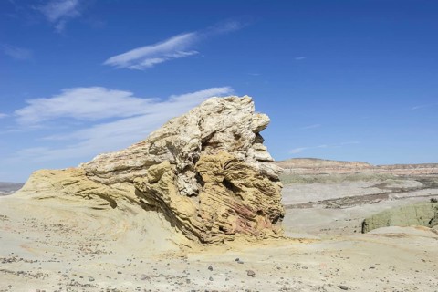 Petrified forest Bosque Petrificado National Monument