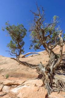 Landscape Arch