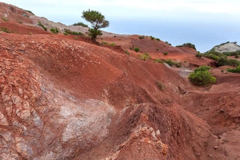 Red soil