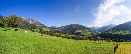 Panoramic view