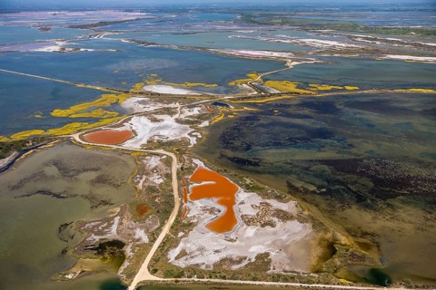 Salt patterns on the surface of salt marshes