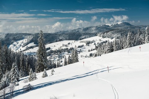 Snowy winter landscape