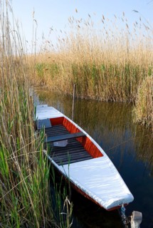 Fishing boat in the reeds on Lake Neusiedl