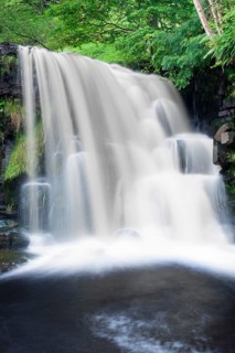 East Gill Force waterfall