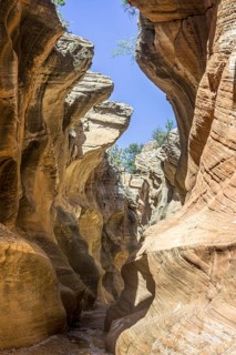 Hiking trail through Willis Creek Canyon