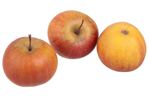 Apple variety Rubinette