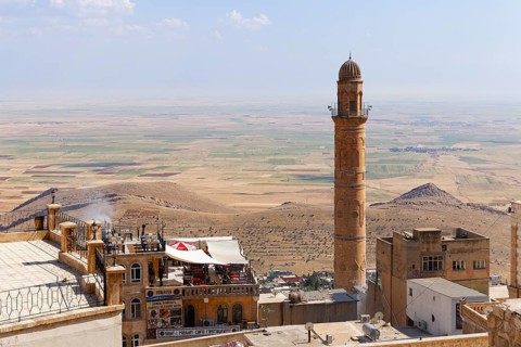 Mesopotamian plain and minaret of the Great Mosque Ulu Camii
