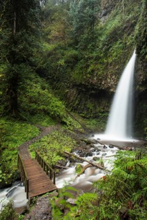 Latourell Falls in the Columbia River Gorge