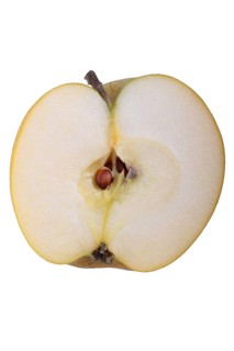 Apple variety Ananas Reinette