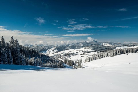 Snowy winter landscape